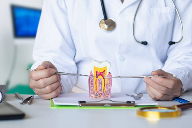 Best Chipped Tooth Repair Near Me  in , KS
